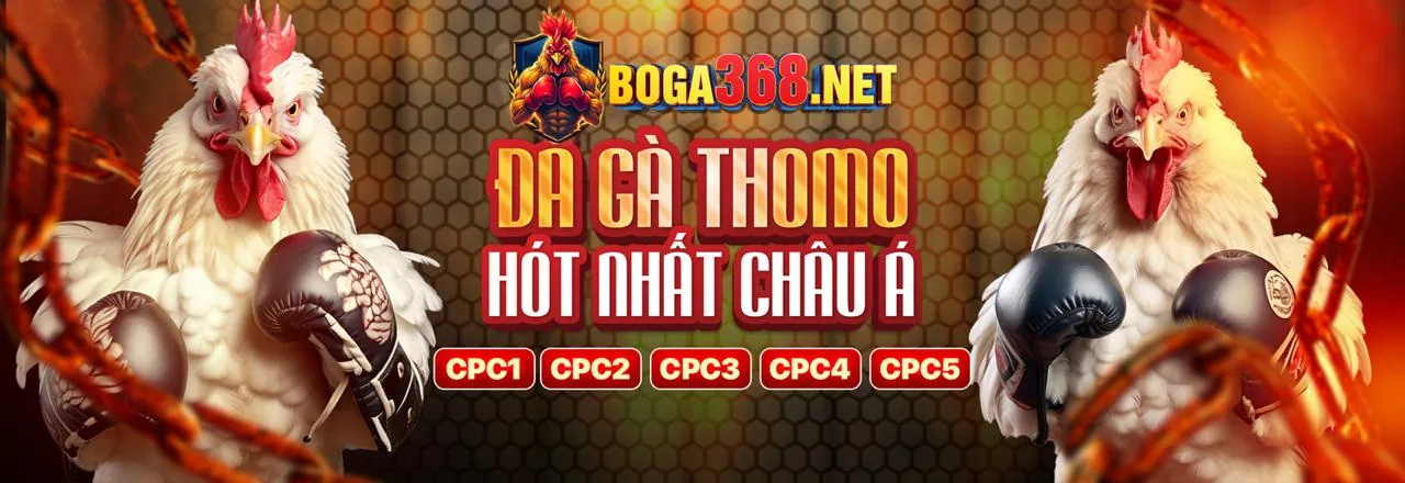 Sân vận động với ánh đèn rực rỡ, biểu tượng cho cá cược thể thao sôi động tại 988bet nhà cái, mang đến cơ hội chiến thắng cho người hâm mộ.